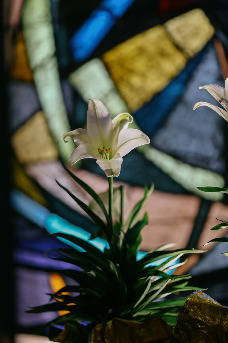 Lilies sit in the windowsill of Guardian Angel Cathedral on Friday, April 25, 2025, during a me ...