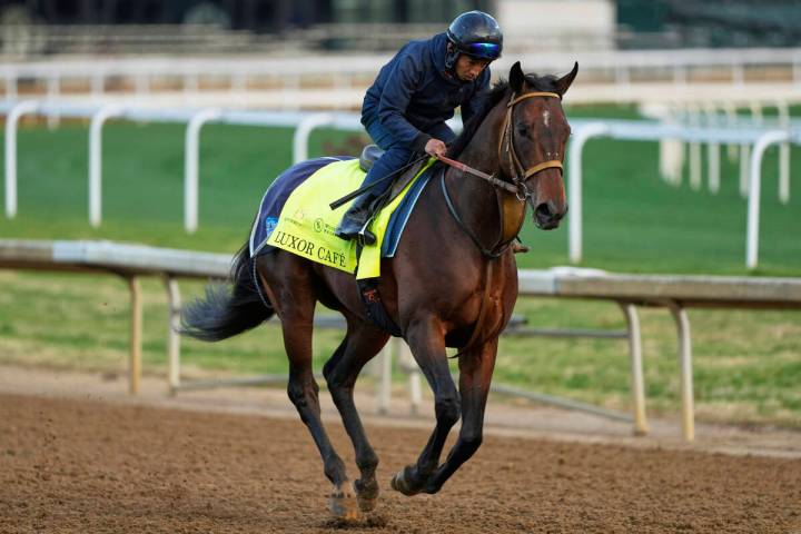 Kentucky Derby entrant Luxor Cafe, from Japan, works out at Churchill Downs Monday, April 28, 2 ...