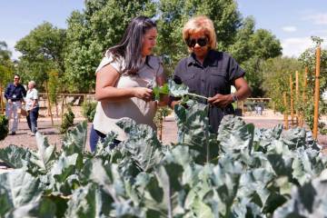 Councilwoman Ruth Garcia-Anderson, left, and North Las Vegas Mayor Pamela Goynes-Brown check ou ...