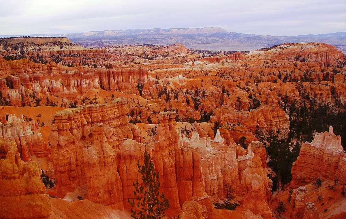 In Bryce Canyon National Park’s main area, there are deep amphitheaters filled with colorful ...