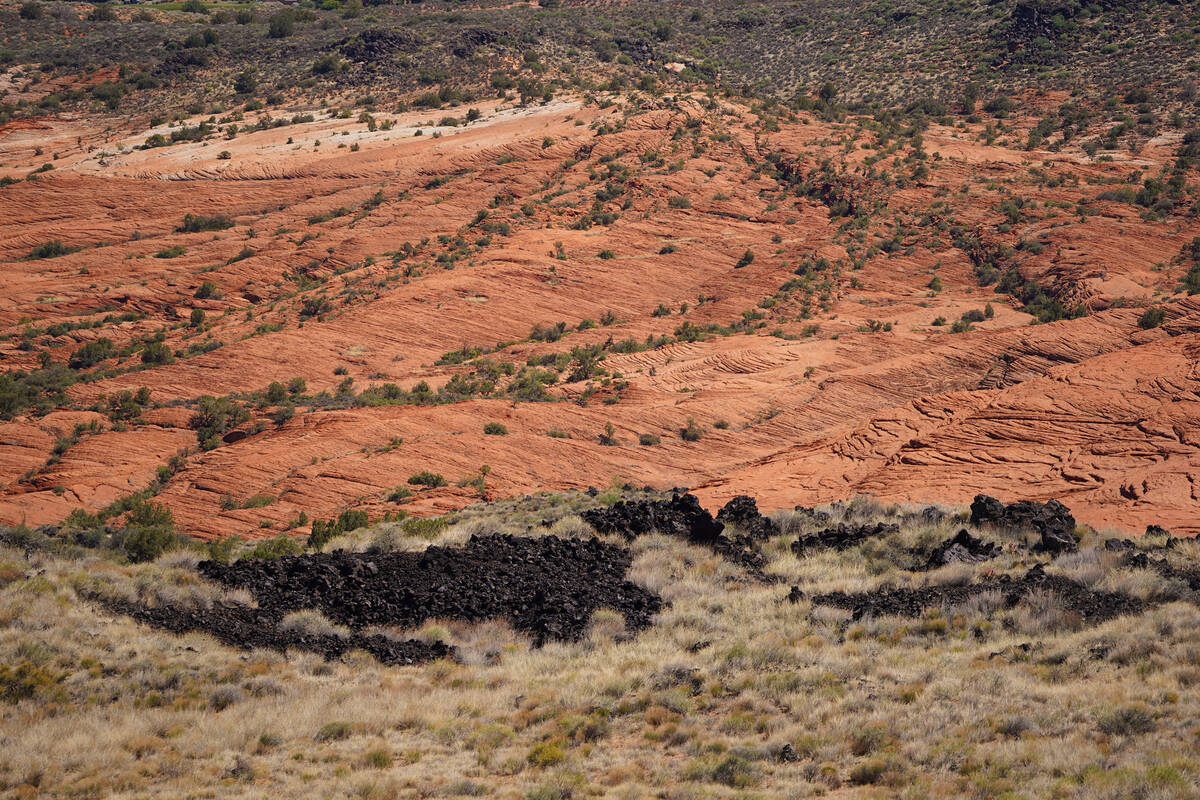 Shiny black lava contrasts with petrified sand dunes in Snow Canyon State Park in Southern Utah ...