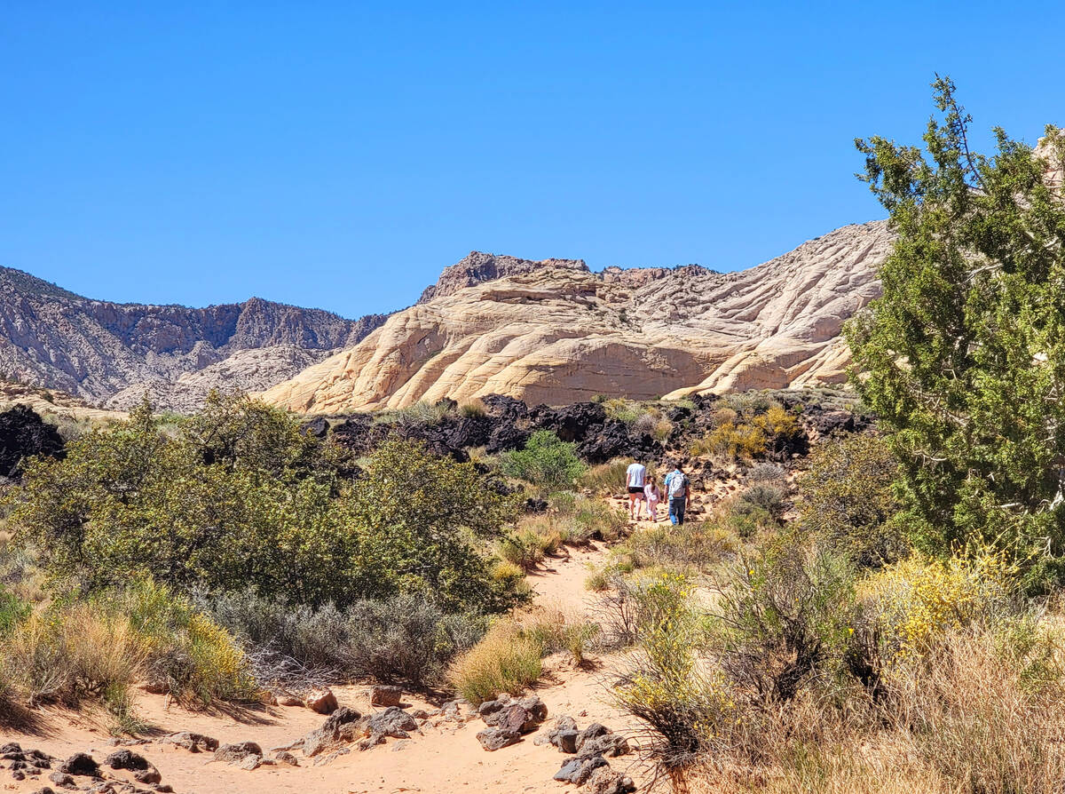 Visitors meander along the Lava Flow trail in Snow Canyon State Park in Southern Utah. (Natalie ...