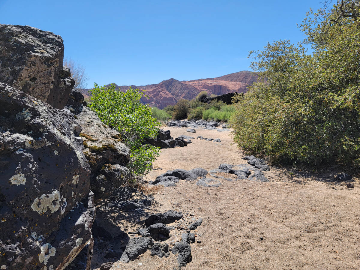 Lava and sandstone are visible along a wash on the Lava Flow trail in Snow Canyon State Park in ...
