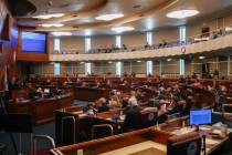 The Nevada State Assembly convenes to pass legislation during the 83rd legislative session at t ...