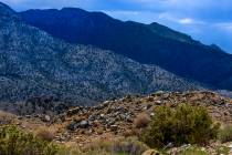 Tailings near the Colosseum Mine and surrounding area about the Clark Mountain range within th ...