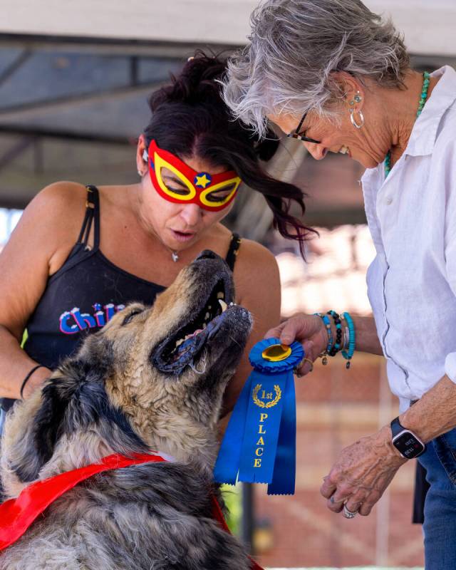 Chilly Jilly the dog is shown a first place ribbon for contest with their owner in the "Bark in ...