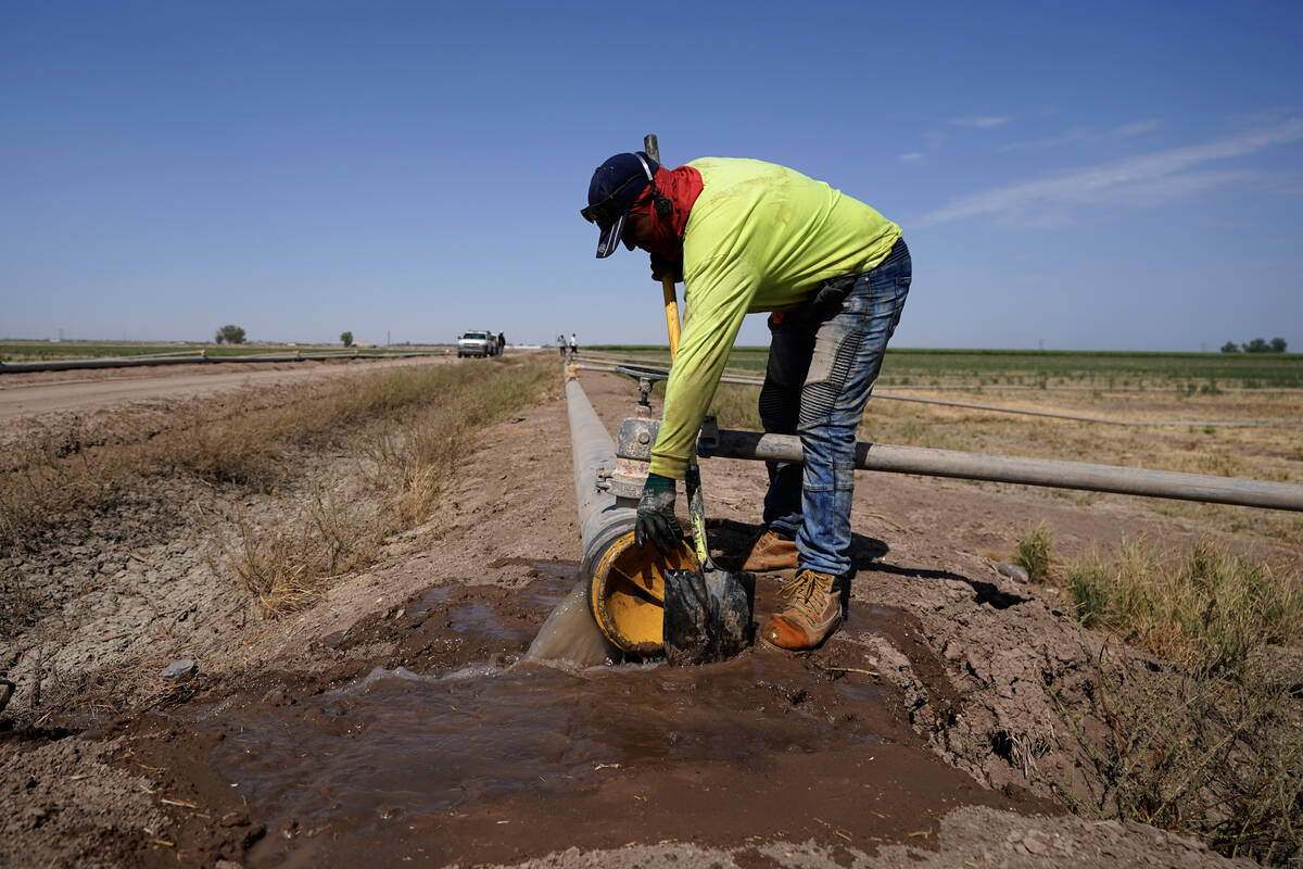 A worker diverts water as a sprinkler system is installed for alfalfa at the Cox family farm on ...