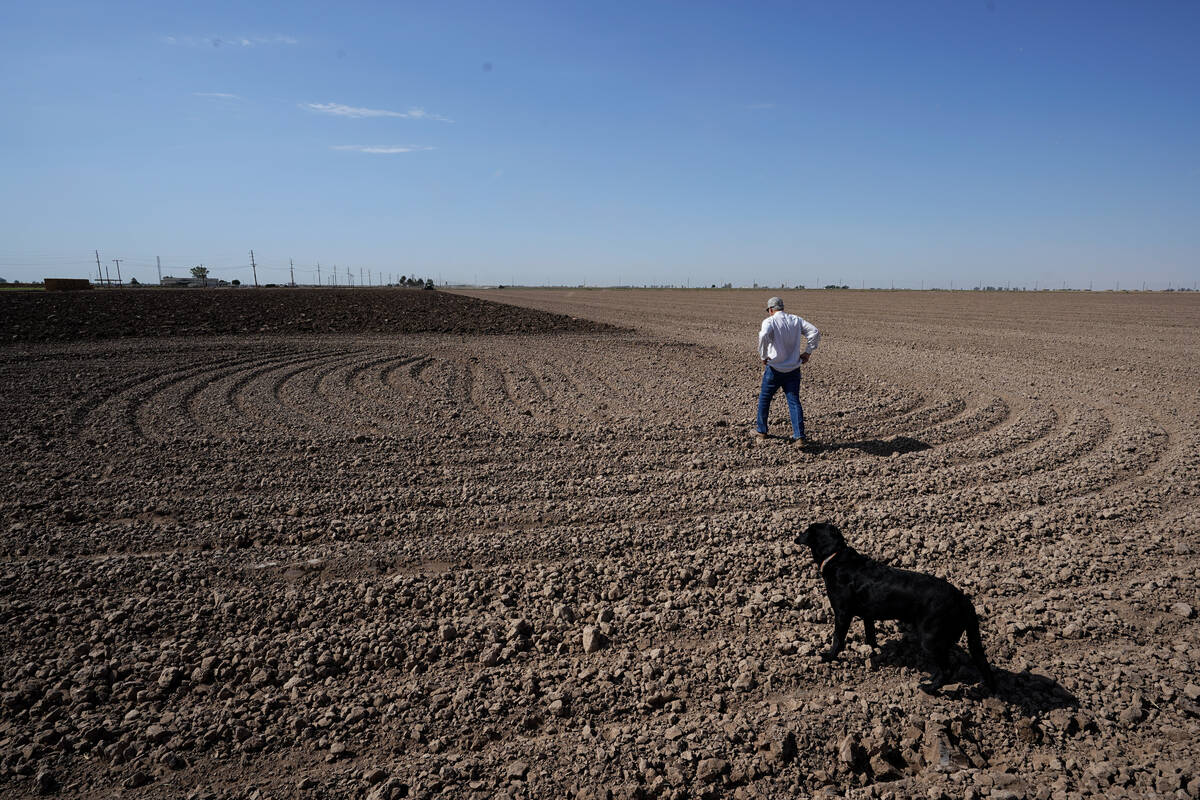 Farmer Larry Cox walks in a plowed field with his dog, Brodie, at his farm on Aug. 15, 2022, ne ...