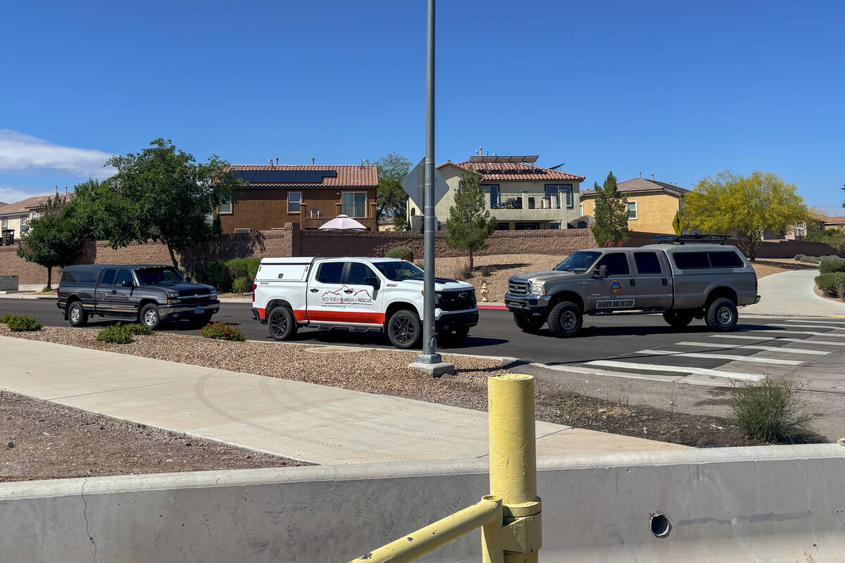 A search party consisting of personnel from the Henderson Fire Department, Henderson Police Dep ...