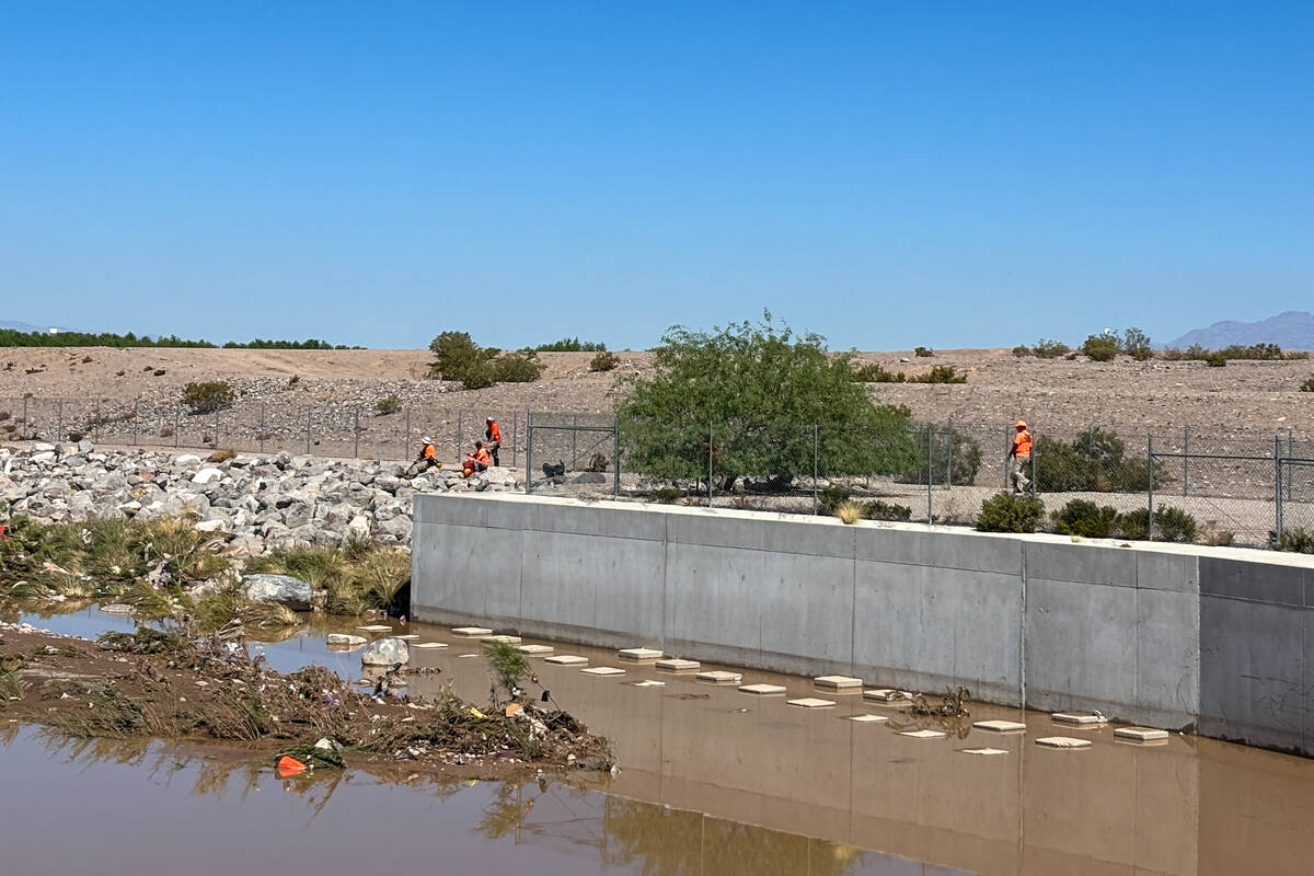 A search party consisting of personnel from the Henderson Fire Department, Henderson Police Dep ...