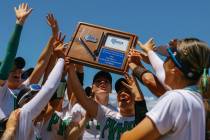 The Palo Verde softball team cheers while receiving the award plaque for winning the NIAA 5A So ...