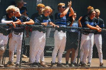 Basic teammates cheer from the dugout during a 5A baseball Southern Region title game between F ...
