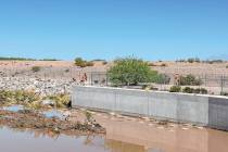 A search party consisting of personnel from the Henderson Fire Department, Henderson Police Dep ...