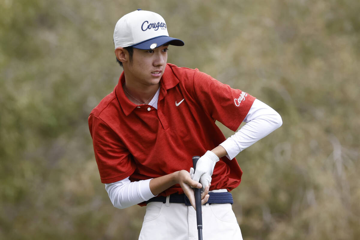 Coronado's Brent Chung reacts as he watches his drive after teeing off on the tenth during Clas ...