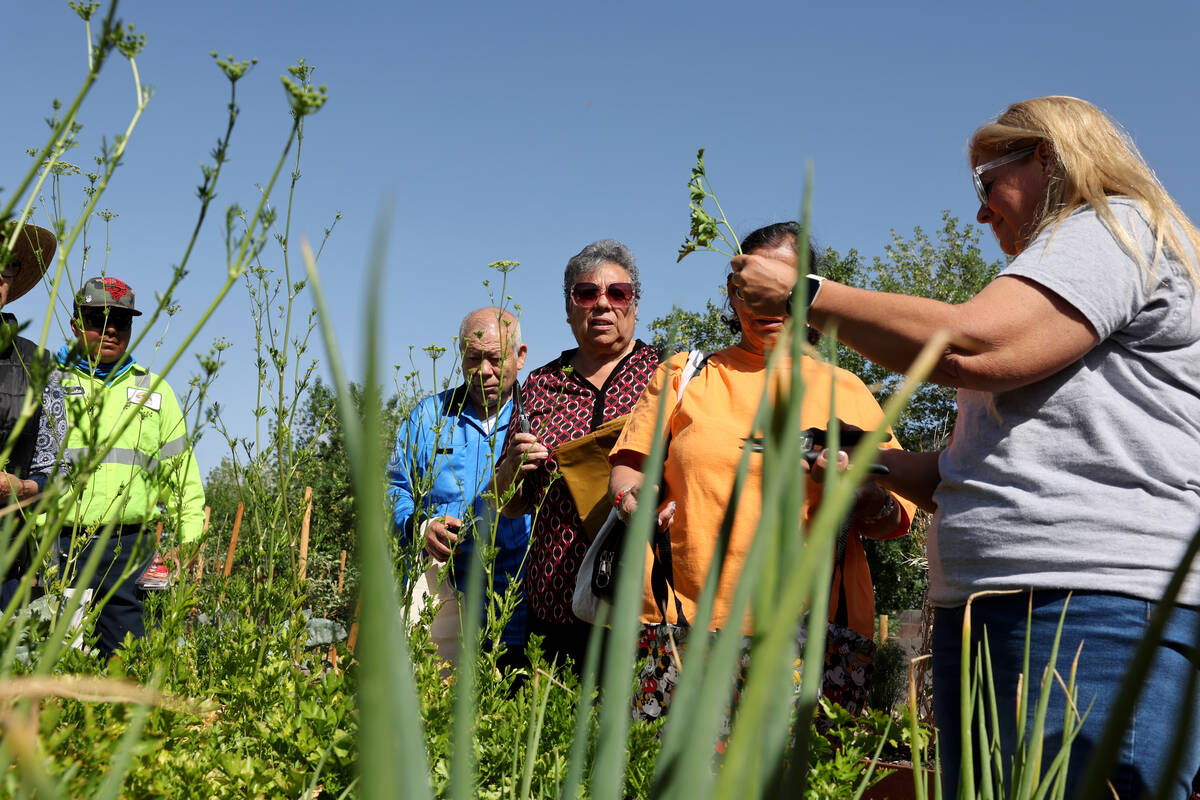 Wendy Wilson with Garden Farms of Nevada, right, talks to seniors from the Neighborhood Recreat ...