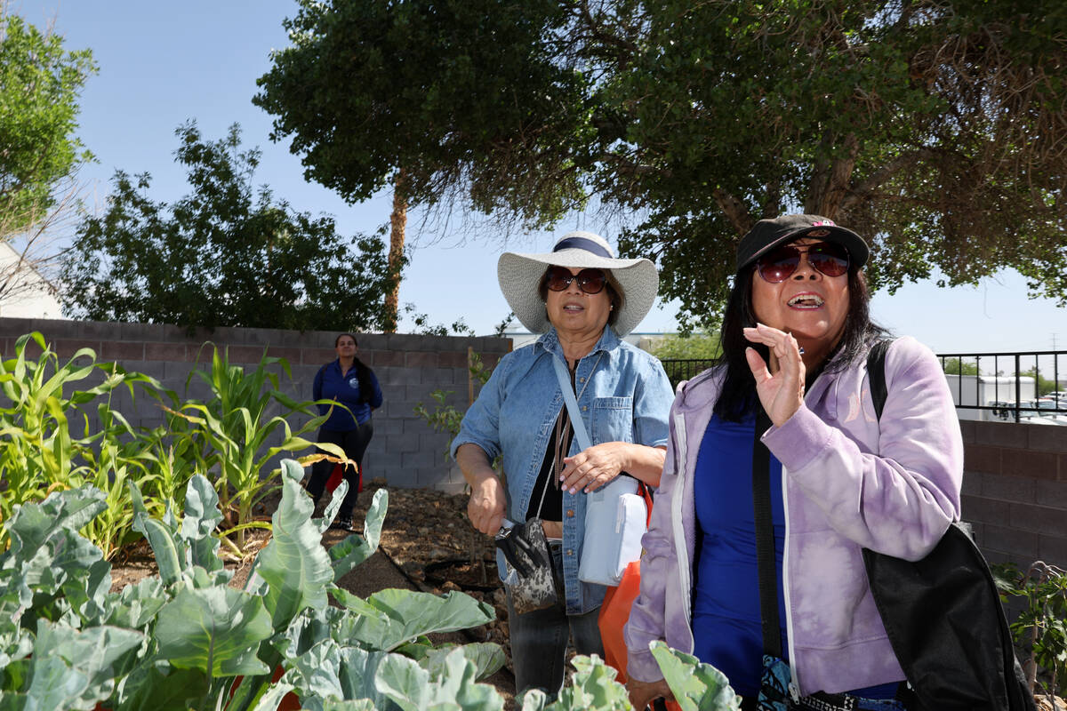 Seniors from the Neighborhood Recreation Center pick herbs and vegetables at the newly renovate ...