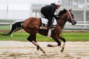 Preakness Stakes entrant Journalism works out at Pimlico Race Course, Thursday, May 15, 2025, i ...