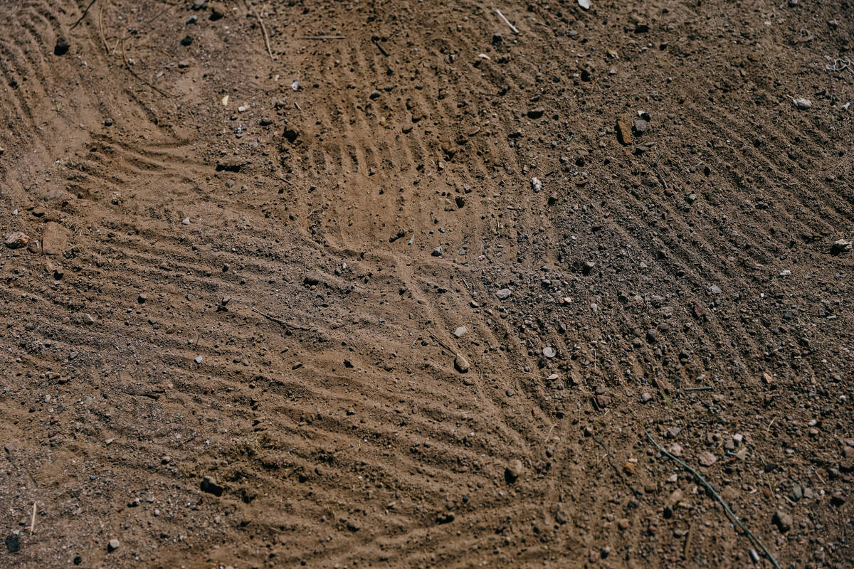 Rake marks streak across the dirt of a backyard after volunteers with Las Vegas REALTORS and Re ...