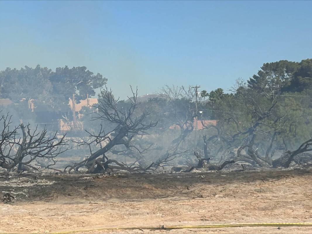 A fire burns at Sunset Park on Wednesday, May 21, 2025. (Clark County Fire Department)