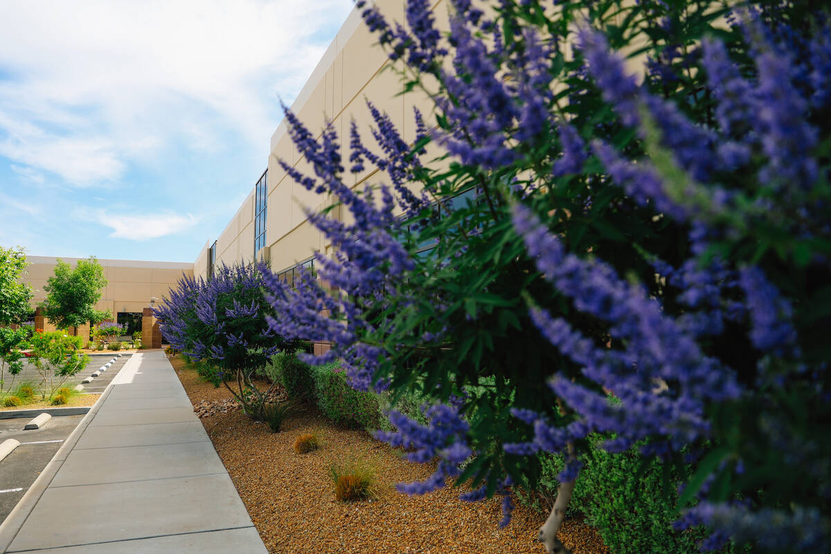 A two-building office complex at Paseo Verde Parkway Thursday, May 29, 2025, in Henderson. (Mad ...