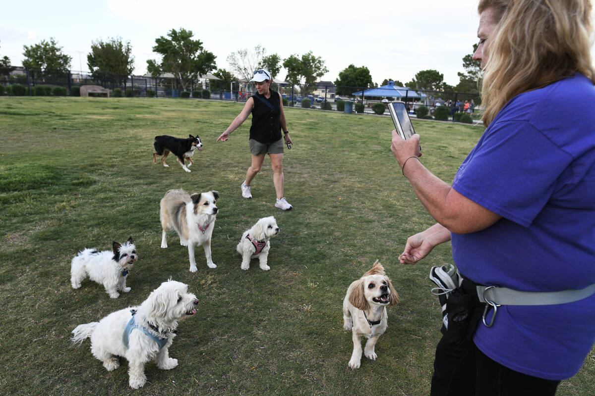 Kathy Casford, left, and Michelle Walz play with their dogs and others at Lone Mountain Regiona ...