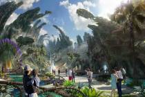 An Avatar destination inspired by “Avatar: The Way of Water” and upcoming Avatar ...