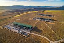 The McGinness Hills Geothermal Plant in Lander County is seen in an undated photo. (Ormat)