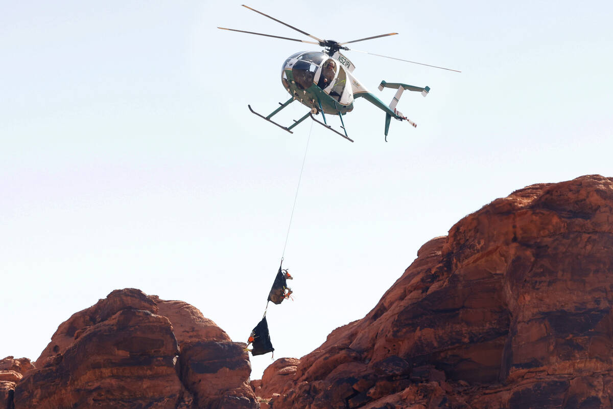 Bighorn sheep are airlifted after being captured by the Nevada Department of Wildlife staff at ...