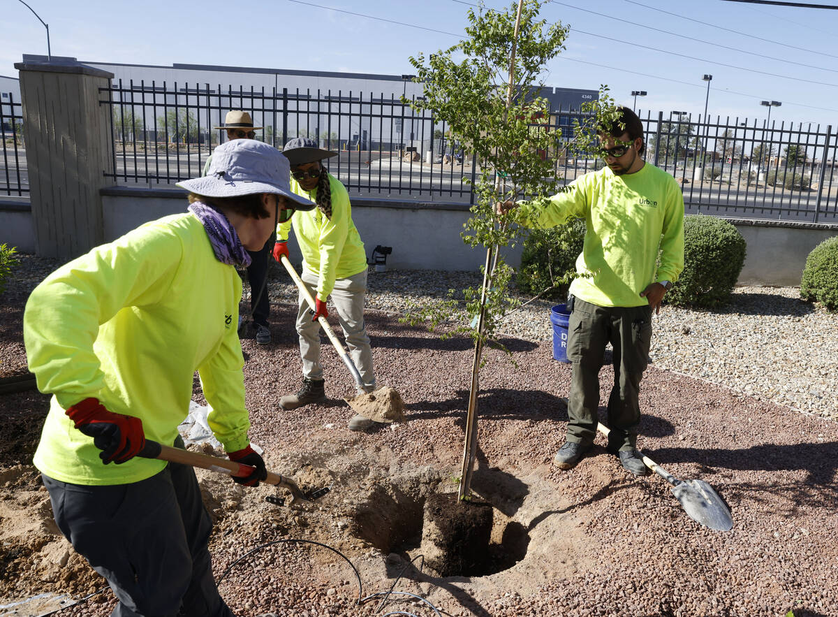 Alison Sloat, left, a professor-in-residence in the College of Sciences at UNLV, and Jessica Lo ...
