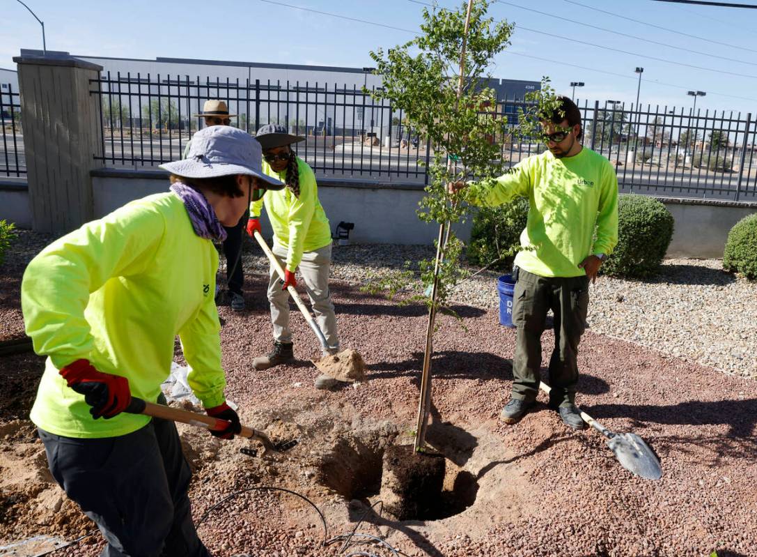 Alison Sloat, left, a professor-in-residence in the College of Sciences at UNLV, and Jessica Lo ...