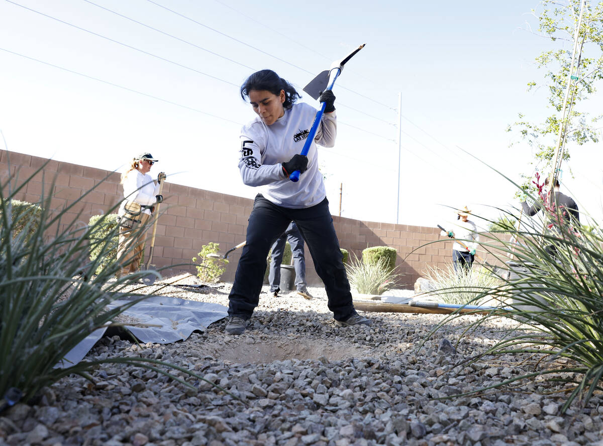 UNLV science student, Alejandra Aviles, digs a hole in the ground to plant new trees at Dover S ...