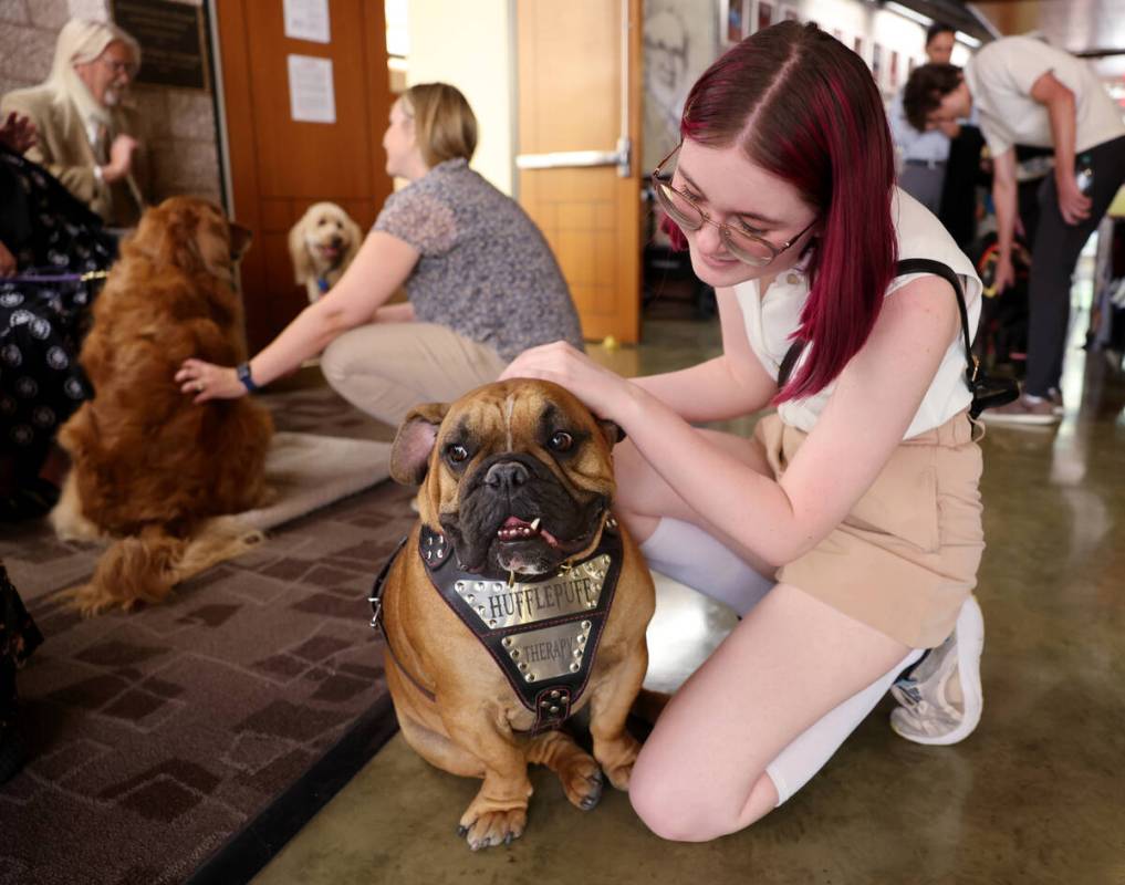 Hufflepuff, a half-French, half-English bulldog, gets a pet from Cassie Kirkham during a Courtr ...