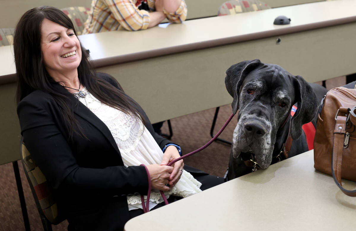 Georgia, a great dane, and his mother Jessica S. are tested during a Courtroom Critters dog tra ...