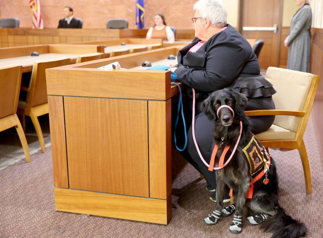 Nova, a goldendoodle, and mom Darlene Barzideh, are tested during a Courtroom Critters dog trai ...