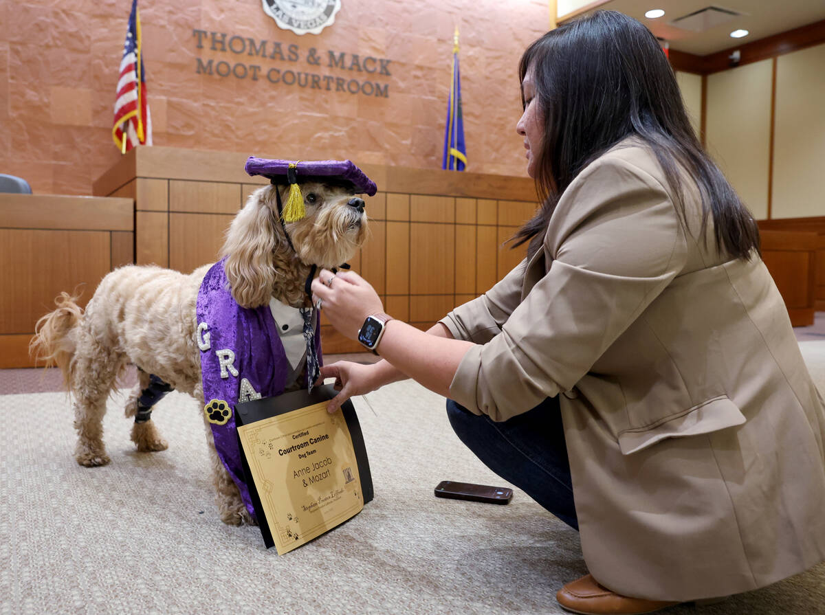 Mozart, a goldendoodle, and mom Anne Jacob, prepare for graduation photos during a Courtroom Cr ...