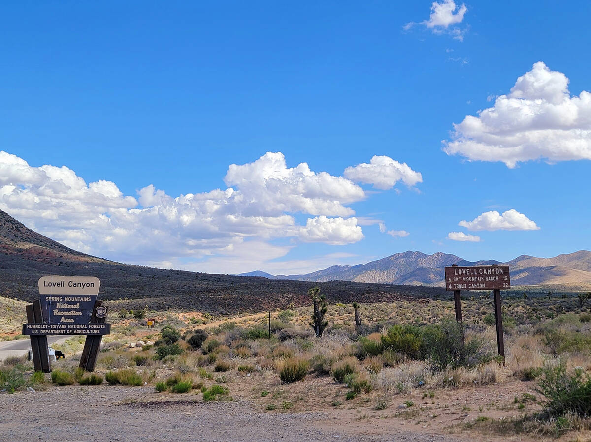 To reach the Lovell Canyon Trail and Loop trailhead takes about an hour for most Southern Nevad ...