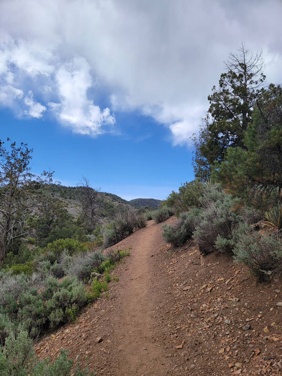 The packed dirt of Lovell Canyon Trail heads uphill as a moderately challenging path with plent ...