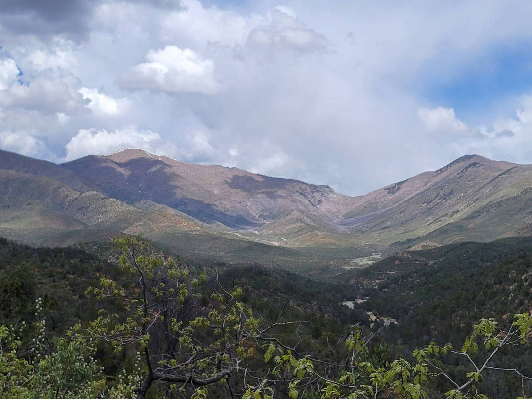 Hikers on the Lovell Canyon Trail and Loop get impressive views of the south face of Griffith P ...