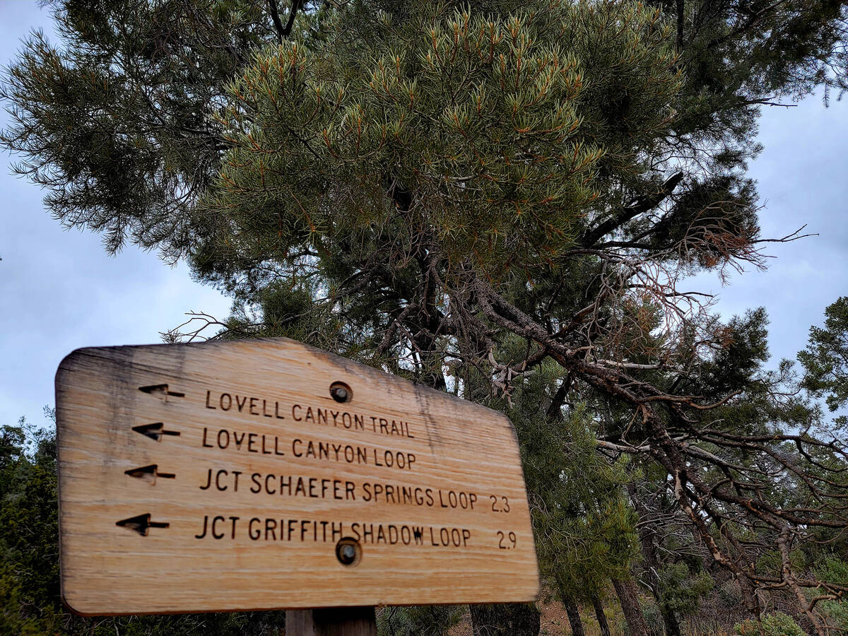 This sign near the trailhead parking lot lets hikers know they are on the right track leading t ...
