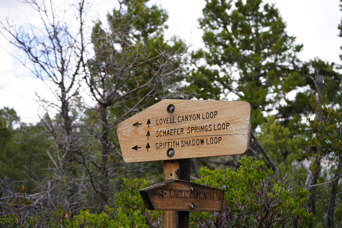 About 1.6 miles from the trailhead, this sign alerts hikers to follow the arrows to get on the ...