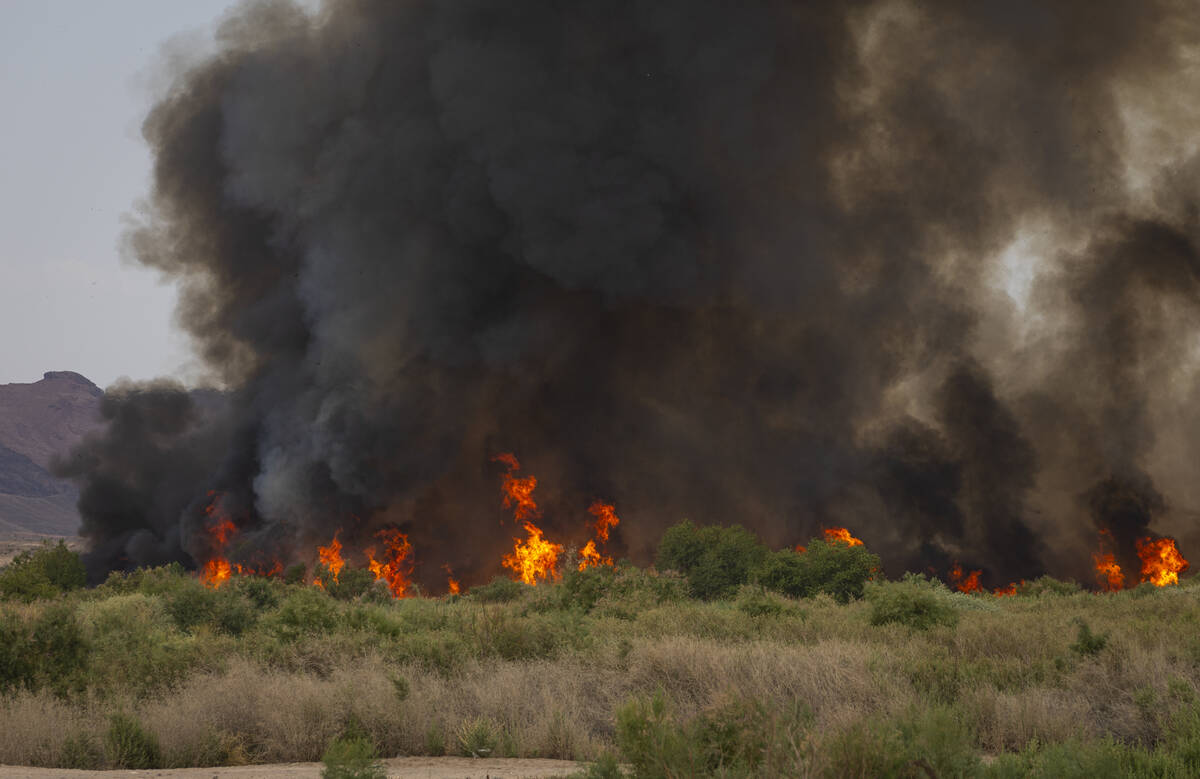 A plume of smoke rises from a fire at the Clark County Wetlands Park on Tuesday, June 24, 2025, ...