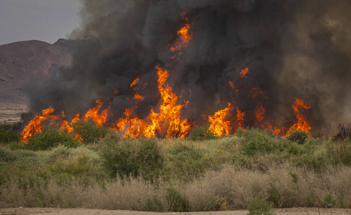 A fire burns at the Clark County Wetlands Park on Tuesday, June 24, 2025, in Las Vegas. (Chase ...
