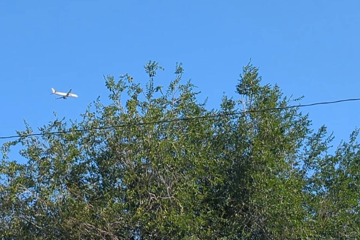 American Airlines Flight 1665 is seen Wednesday, June 25, 2025, in Las Vegas. The flight was fo ...