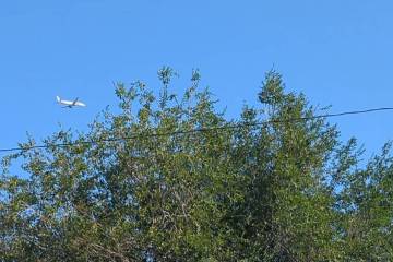 American Airlines Flight 1665 is seen Wednesday, June 25, 2025, returning to Harry Reid Interna ...