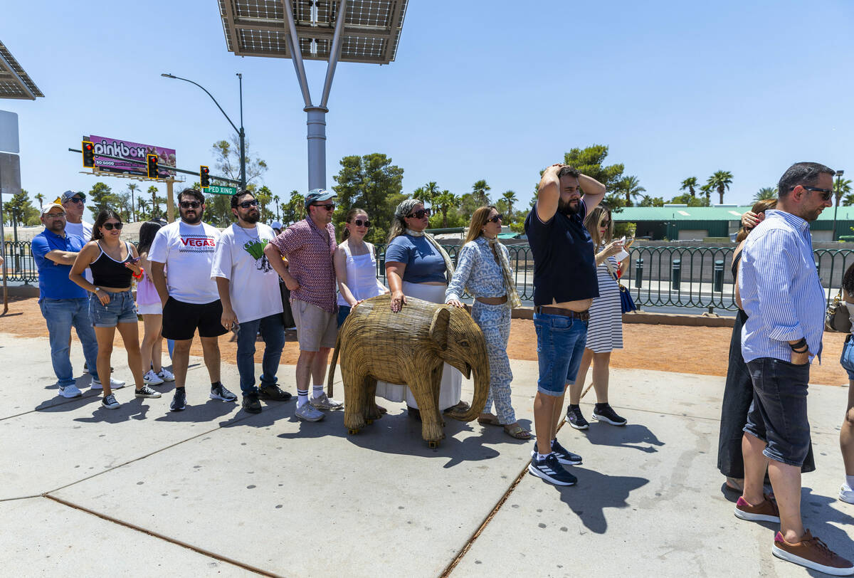 Participants with The Great Elephant Migration wait in line with a baby elephant at the Welcome ...