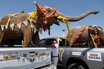 Driver Paula Alyce Scully of New York secures her elephant in the Commercial Center in Las Veg ...