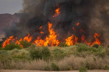 A fire burns at the Clark County Wetlands Park on Tuesday, June 24, 2025, in Las Vegas. (Chase ...