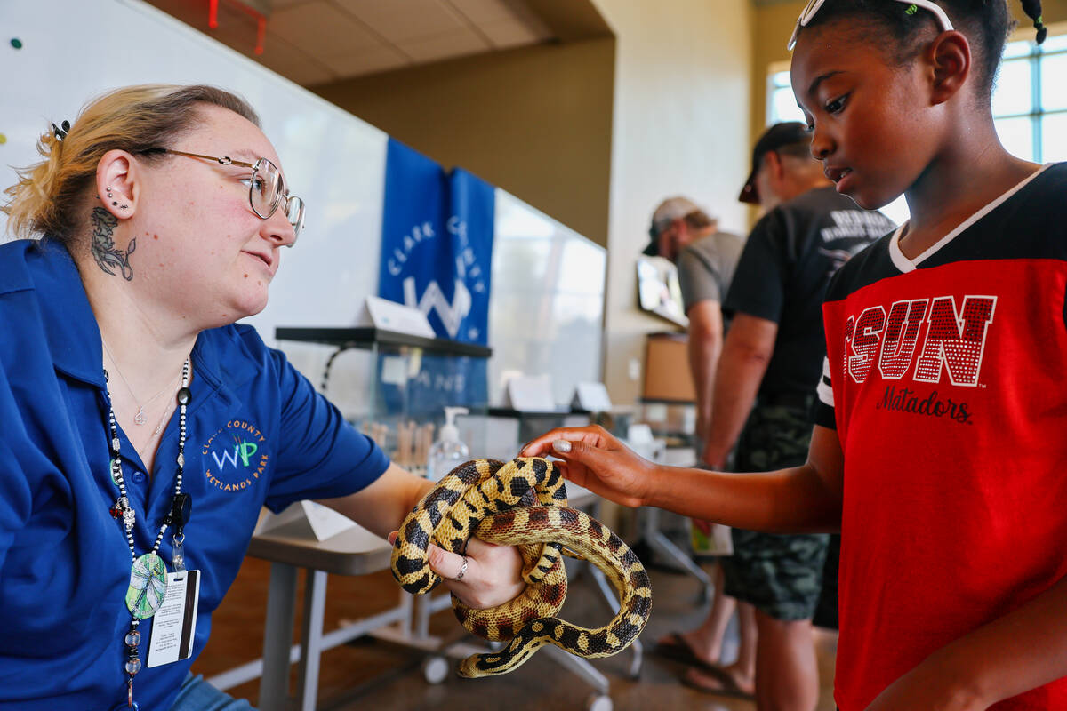 Wetlands Park’s Discovery Day connects the community with reptiles and recreation | Local Las Vegas