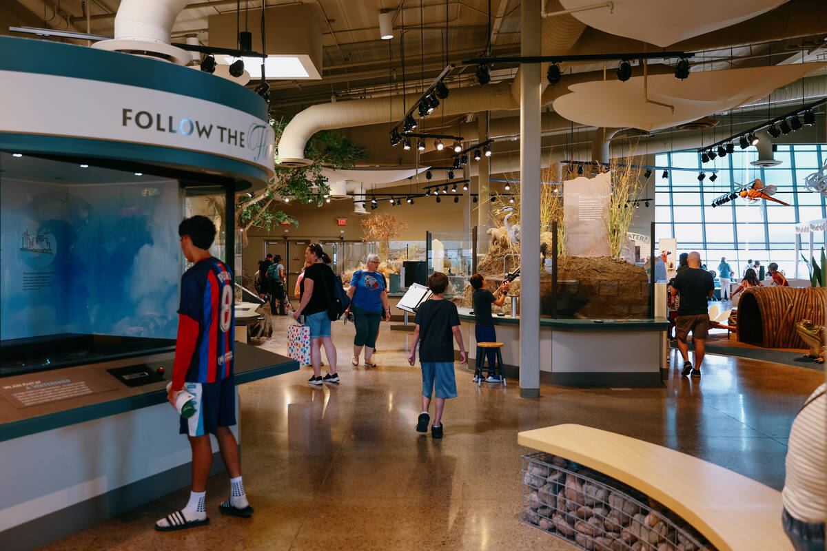 Families attend Discovery Day on Saturday, June 28, 2025 at Clark County Wetlands Park in the e ...