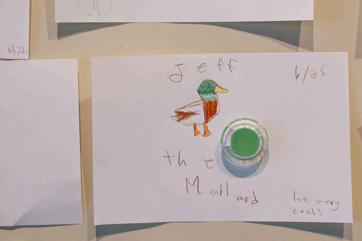 Children’s drawings of animals decorate a wall during Discovery Day on Saturday, June 28, 202 ...